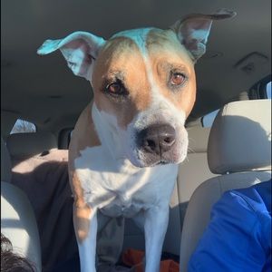 Meet your Posher, Sherry